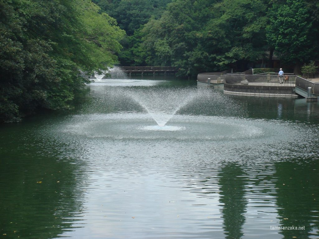 井之頭公園噴水
